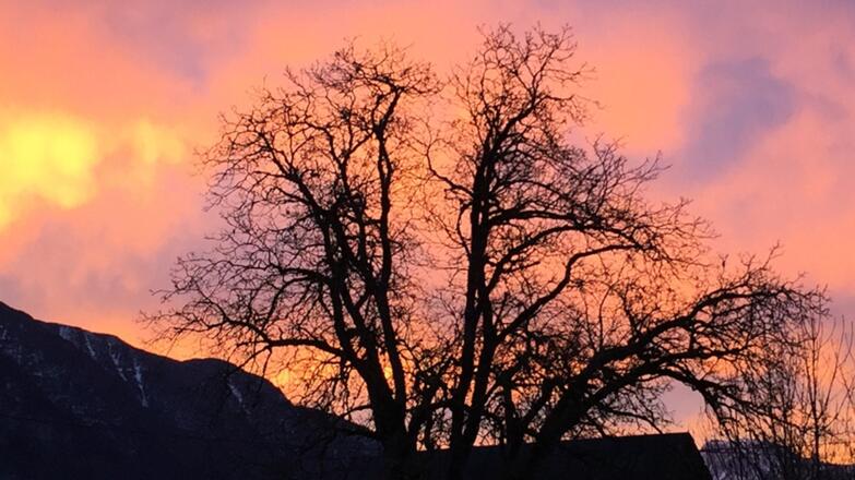 Abendstimmung in Bad Goisern Ferienwohnung Unterberger