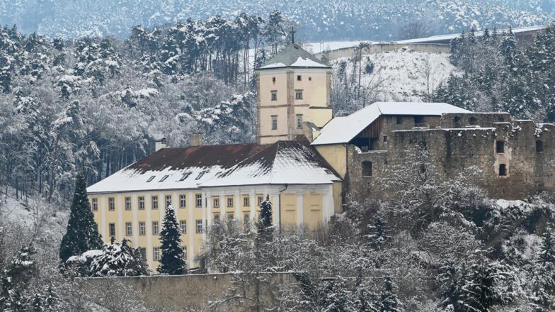 Schloss Riedegg bei Schnee