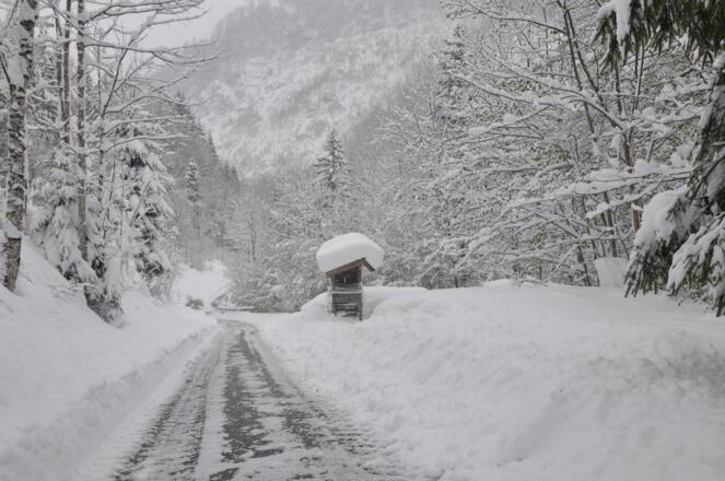 Winter