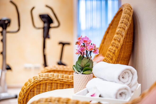 Wellness & Fitnessbereich
