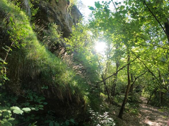 Naturerlebnis & Wildnisabenteuer