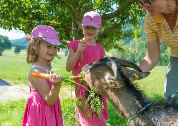 Eingangsbereich Bauernhof Weslhof