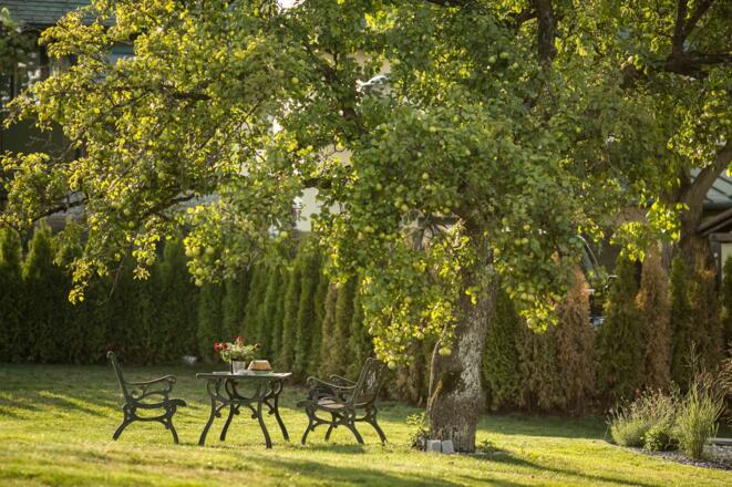 Garten Pension Knoll **** Schörfling am Attersee