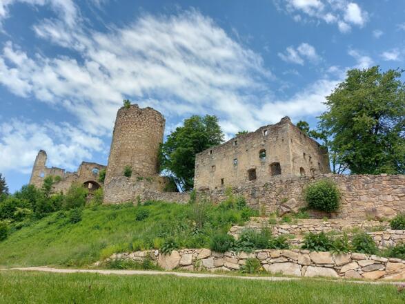 Burgruine Prandegg in Schönau