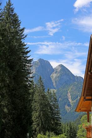 Blick Donnerkogel