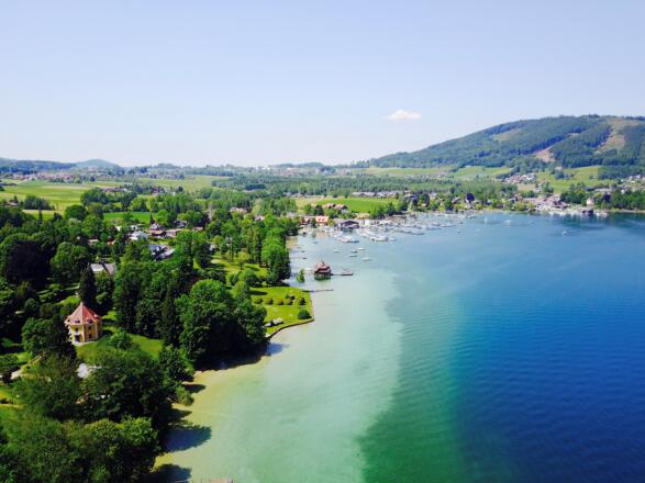Blick Richtung Attersee