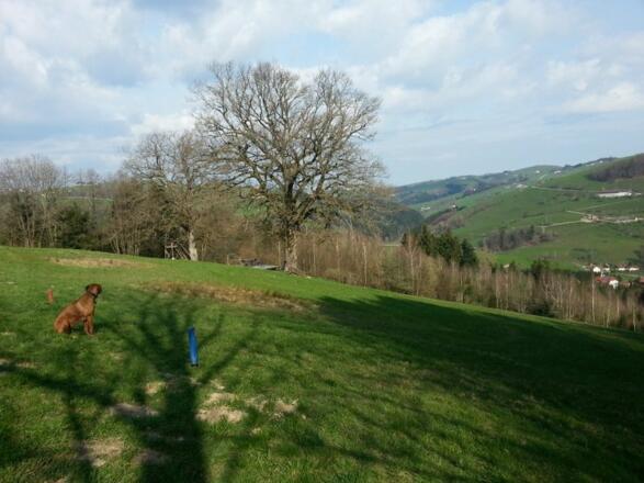 Ramingtaler Bogenparcour - Maria Neustift
