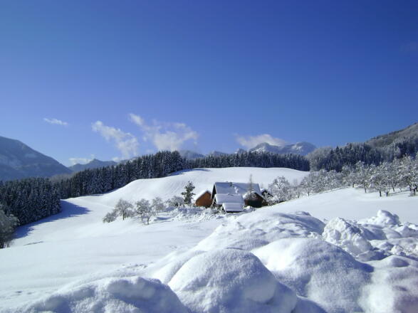 Winter am Margarethengut mit Schafberg