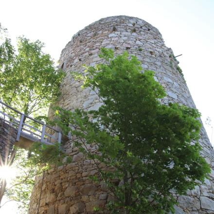 Turm der Ruine Prandegg