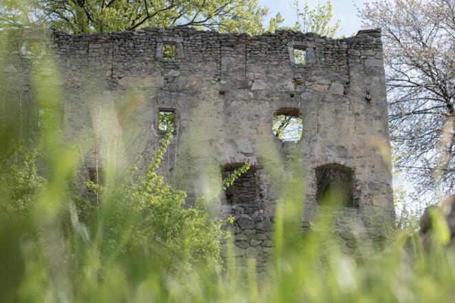 Mauer der Ruine Prandegg