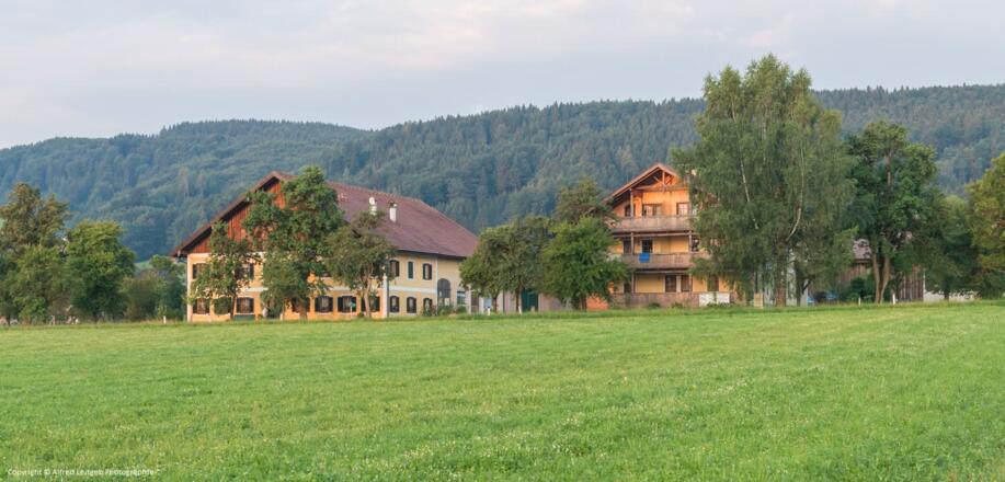Ansicht Bauernhof Weslhof