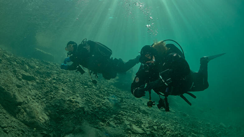 2018-tauchen-schwarze-bruecke-3-thorsten-neumeier