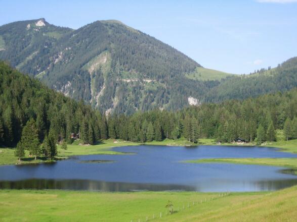 Seewaldsee Rundblick