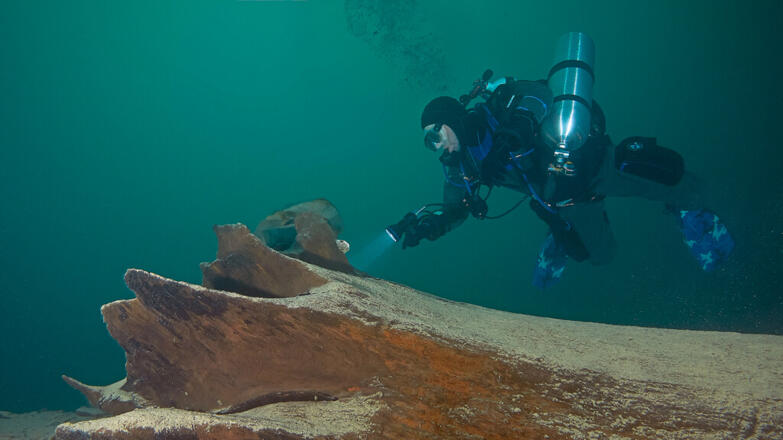 2018-tauchen-unterwasserwald-thorsten-neumeier