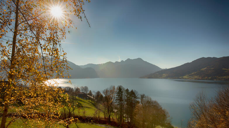 Blick über Attersee mit Schafberg Mostschenke Grablerhof Familie Holzinger Steinbach am Attersee