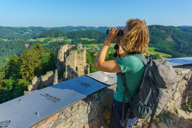 Ausblick von der Burgruine Prandegg