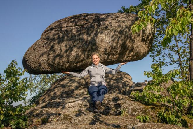 Schwammerling in Rechberg