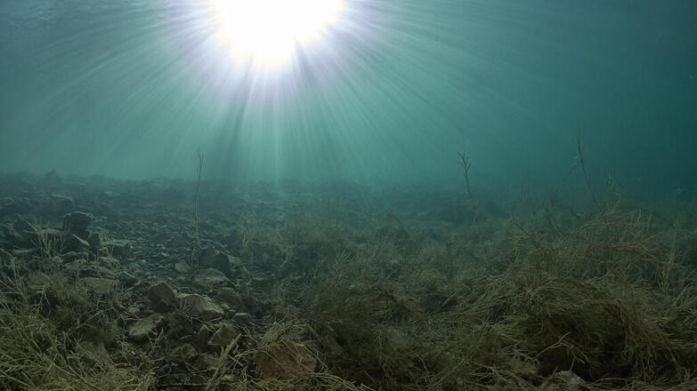 2018-tauchen-twin-towers-5-thorsten-neumeier