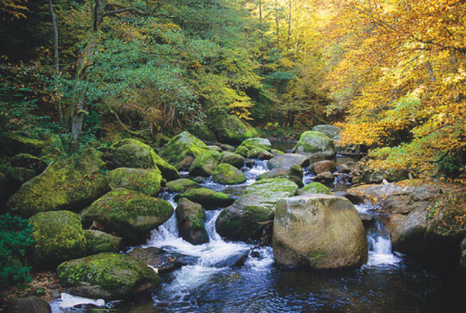 H9-Marktgemeinde-Hagenberg