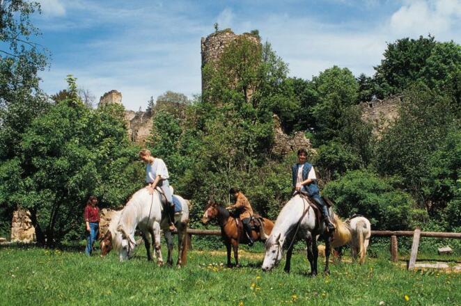 Reitpark Gstöttner