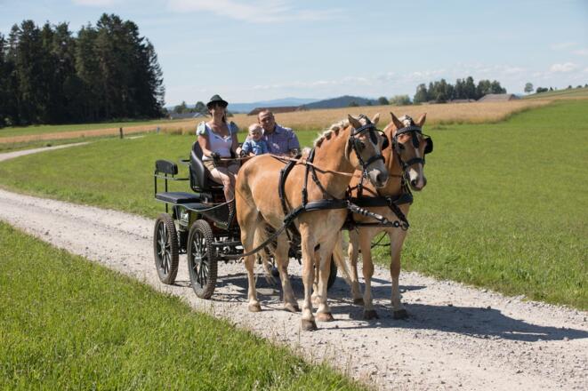 Familie Auer