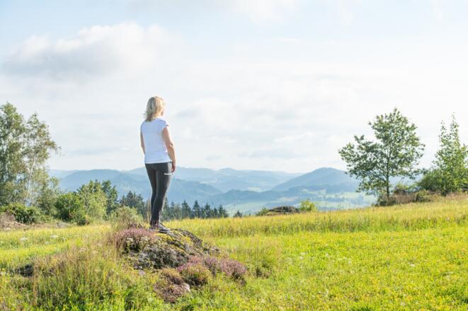 Naturpark Mühlviertel mit Quendel und Weitblick