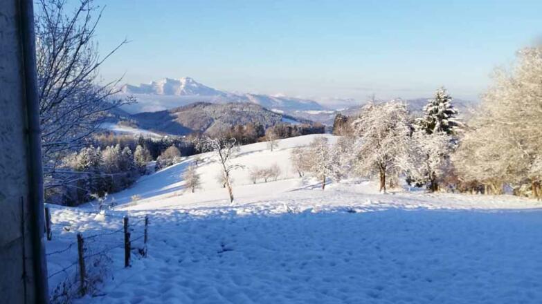 Winterbild Foto Privat Familie Foltan tour