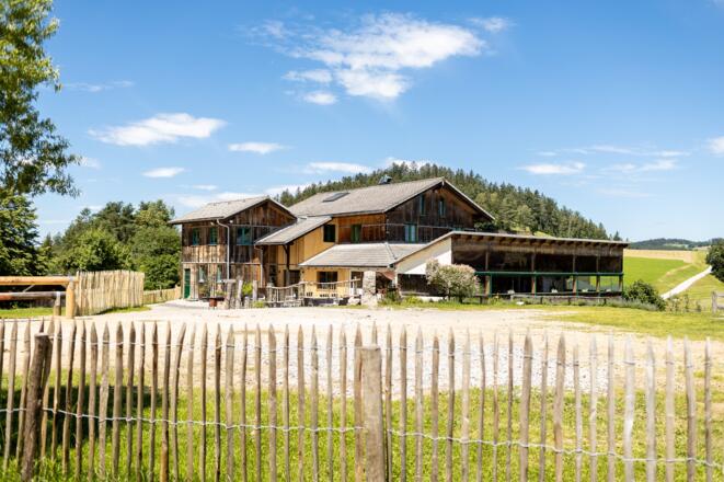 Moser Alm