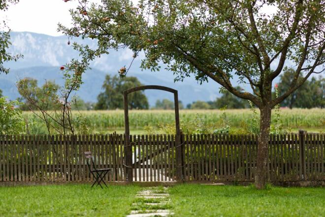 Hofansicht Bauernhof Weslhof