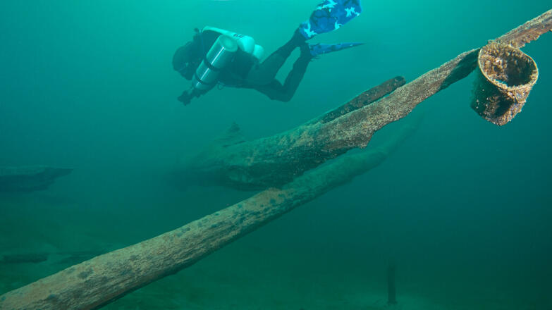 2018-tauchen-unterwasserwald-1-thorsten-neumeier