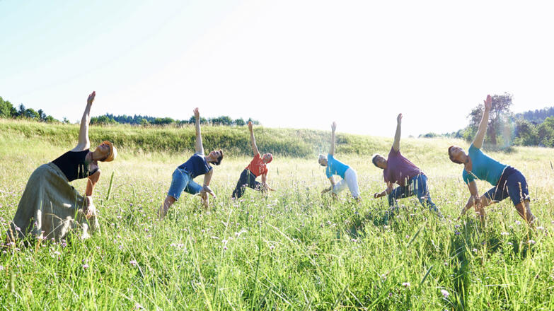 2017-indian-balance-susanne-schlesinger