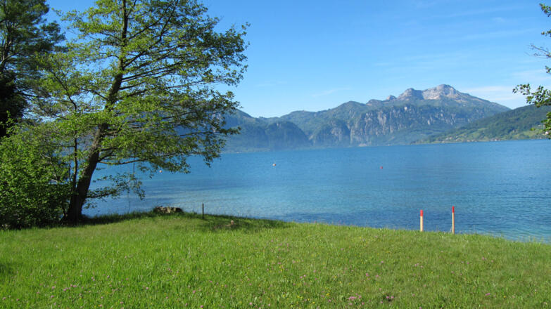 Badeplatz Wohnung am See Steinbach am Attersee