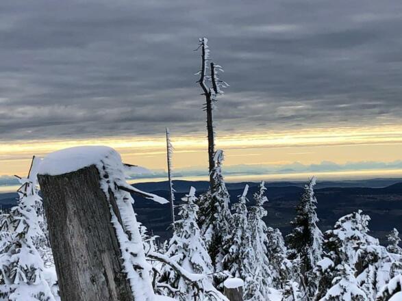 Winter Impression