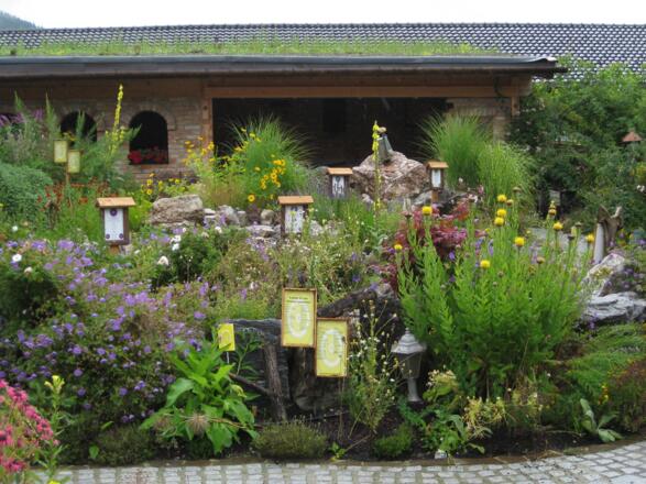 Viel verschiedene Kräuter & Pflanzen - Oberhinteregger´s Kräutergarten