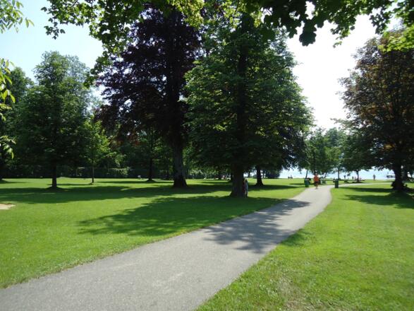 Sommerstimmung