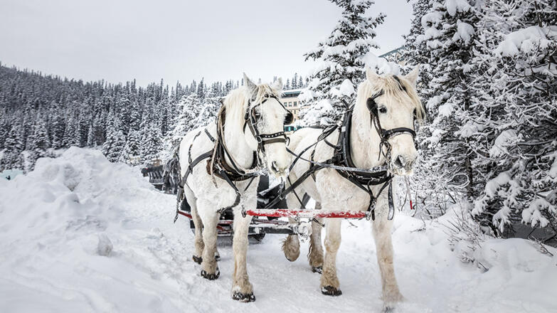 Winter