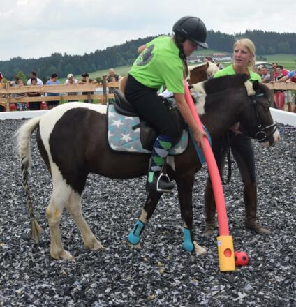 Pony & Fun Stunden