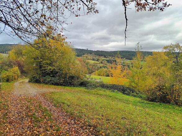Blick nach Osten vor Wahdorf