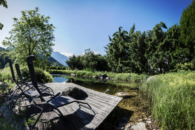Schwimmteich mit Liegen Villa Anna Bad Goisern