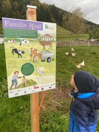 Themenweg Schild Rinder