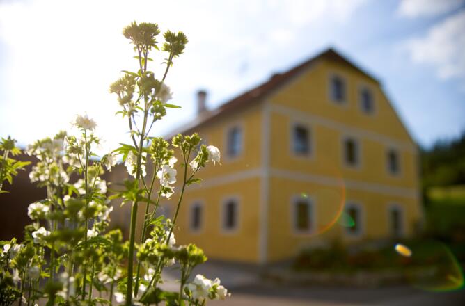 Bio-Bauernhof Leimlehner