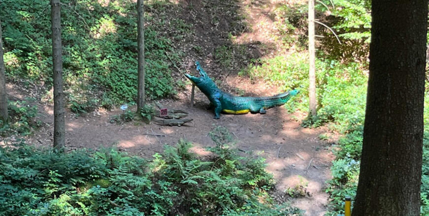 Bogensportziel Krokodil