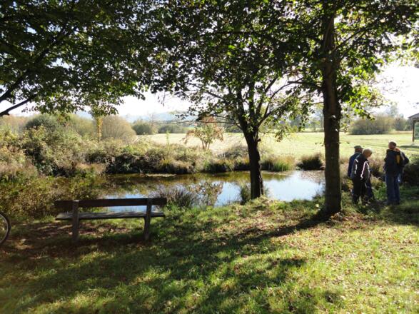 Moorsee Gerlhamer Moor