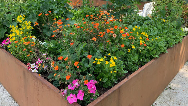 TD-Gustav-Klimt-Garten-Gustav-Klimt-Foundation-4