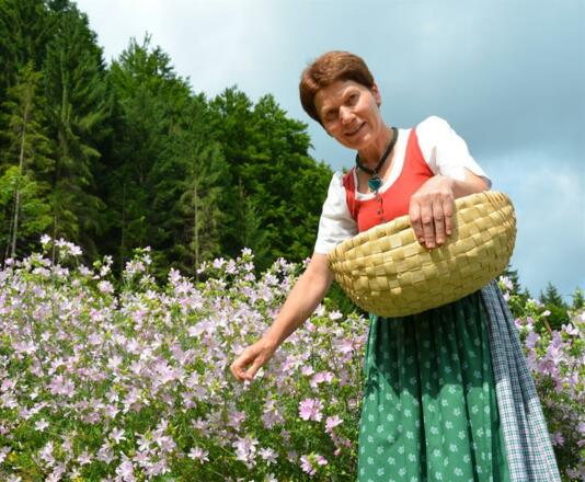 Blütenernte