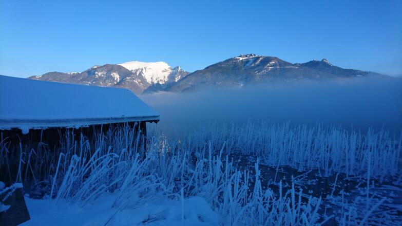 Schafberg