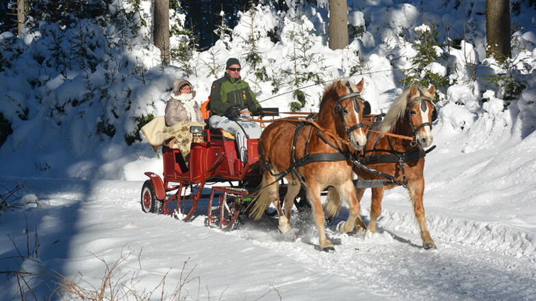 Schneezauber(c) Georgs Kutscher Hof_2