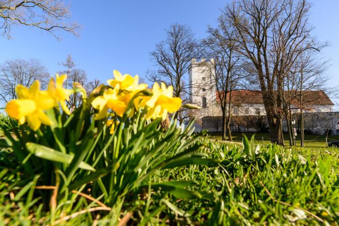 Schlosspark