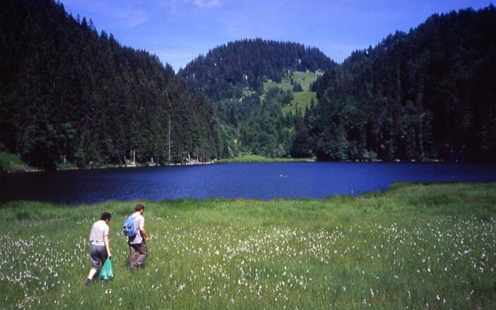 Der Taubensee ist ein schönes Ausflugsgebiet.