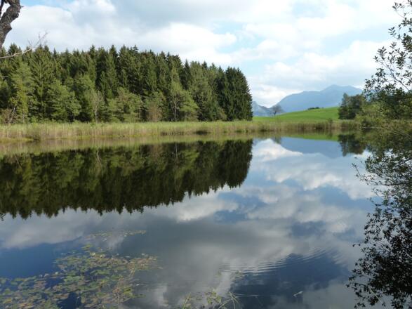 2019-Egelsee Unterach Werner Schnetzer